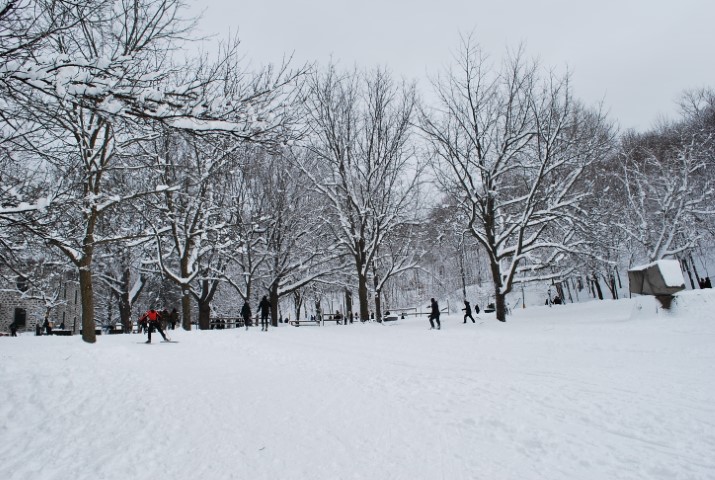 Après-midi à Montréal — Montréal